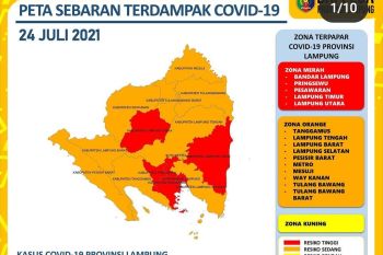 Jumlah kasus COVID-19 di Lampung bertambah 499