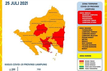 Dinkes Lampung catat 399 penambahan kasus COVID-19, tertinggi di Bandarlampung