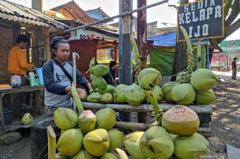 Jangan minum air kelapa baik berlebihan, karena dapat timbulkan kadar kalium tinggi
