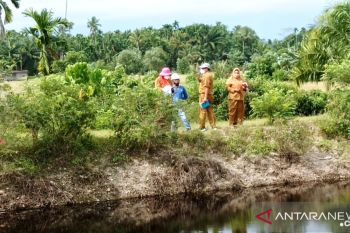 Jika terbukti buang limbah, DLH Agam bakal hentikan operasional PT BSS