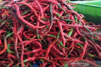 Harga cabai merah di Sumut anjlok tajam akibat permintaan turun