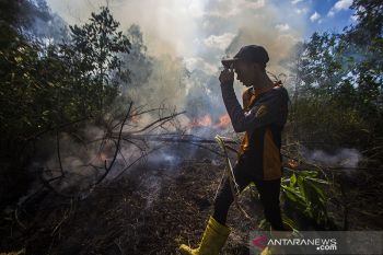 Upaya Pemadaman Kebakaran Lahan Di Kalsel