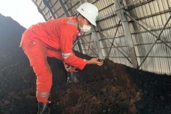 PLN lakukan metode "co-firing" di PLTU Jeranjang