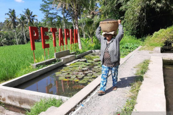 "PLN Peduli" latih Pemandu Wisata Air Terjun Petapan di Klungkung