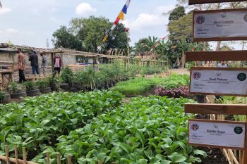 Kelompok tani di Yogyakarta diminta berinovasi bangkit di masa pandemi