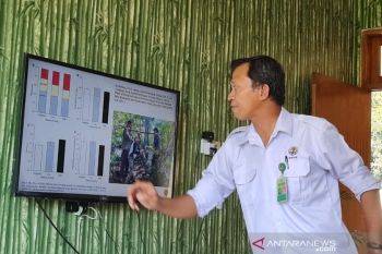 Penataan sarpas  wisata Loh Buaya mencapai 94,17 persen
