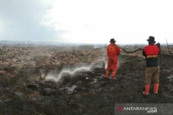 Wah, 148 titik panas terpantau di Riau