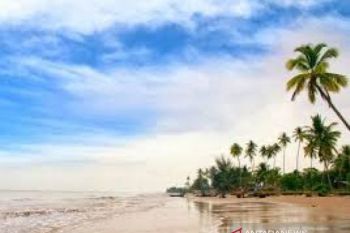 Penambangan pasir di Pulau Rupat dihentikan karena timbulkan kerusakan ekosistem