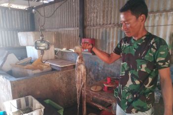 Pemprov Sulsel siapkan dua pelabuhan kering permudah pengiriman barang