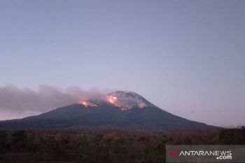 Pemkab Lembata minta  BPBD NTT bantu padamkan karhutla