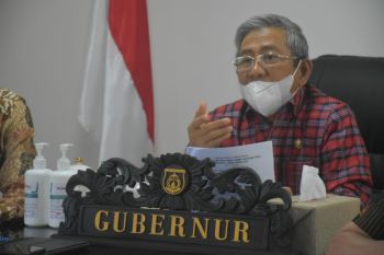 Sulbar dan Australia bahas rencana kerja sama budi daya ternak sapi