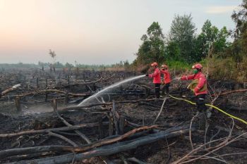 PT Rimba Hutani Mas kerahkan helikopter pembom air atasi karhutla di Desa Muara Medak