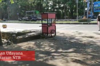 Mengenal Taman Udayana