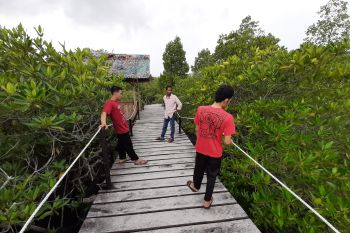 Desa wisata berpotensi besar bangkitkan ekonomi masyarakat