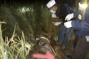 Geger, penemuan mayat perempuan mukanya penuh darah di sawah Batukliang