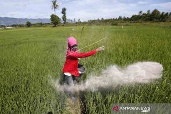 Pemkab Pessel minta PPL tetap maksimalkan pembinaan kepada petani walau Pandemi Covid-19