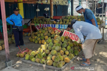 Kalbar ekspor durian setiap dua bulan sekali  53 ton ke China