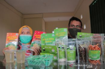 IKM Kulon Progo mengolah lidah buaya menjadi produk bernilai jual tinggi