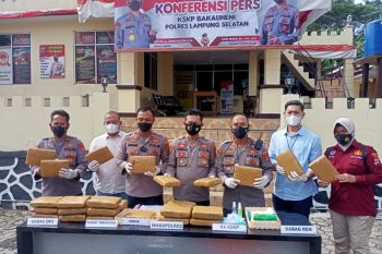 Polisi sita ganja seberat 28 kilogram
