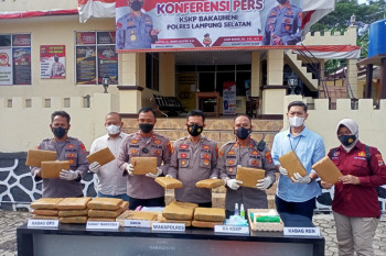 Petugas sita ganja seberat 28 kg di Pelabuhan Bakauheni