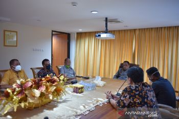 Perusda Sulteng  perluas investasi pertambangan dan perkebunan