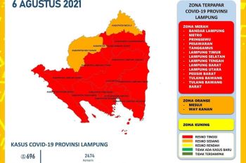 Dinkes: Positif COVID-19 di Lampung bertambah 696 kasus