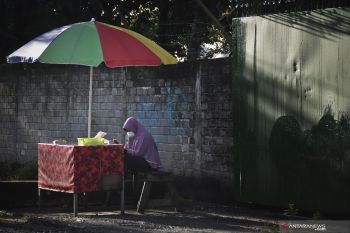 Tajuk ANTARA NTB - Luka sunyi perempuan di Bumi Gora