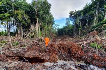 Dua orang dilaporkan tersesat di hutan Sungai Maya Tarakan belum ditemukan
