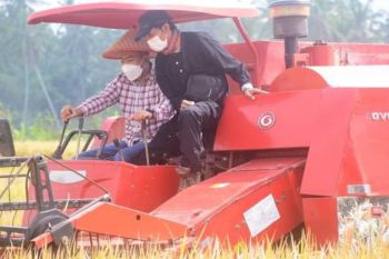 Wagub sebut Kabupaten Tanah Datar produksi beras paling tinggi di Sumbar