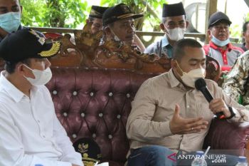 Sumbar siapkan strategi pengelolaan gambir agar menguntungkan petani