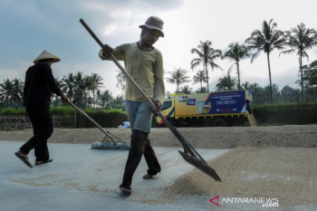 Penyaluran kredit pertanian BRI  capai Rp117,54 triliun