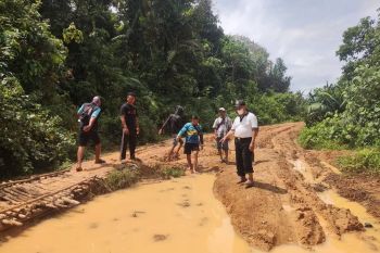 Wakil Bupati Pesisir Barat tinjau jalan rusak menuju Way Haru
