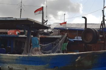 Kepri butuh kapal penangkap ikan kapasitas besar