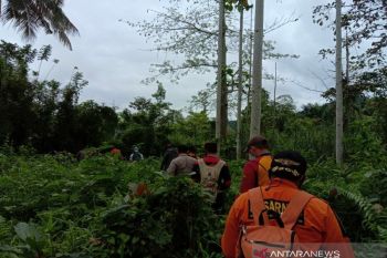 Basarnas bagi tiga tim pencarian pria hilang di hutan Kolaka Timur