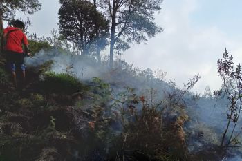 Kebakaran hutan landa kawasan kaki Gunung Rinjani