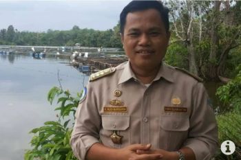 Hasil perikanan yang dikirim ke luar Sumbar pada Juli capai Rp1,8 miliar, didominasi komoditi lobster