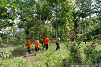 Basarnas hentikan pencarian pria hilang di hutan Kolaka Timur