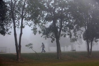 Pakistan akan tanam 10 miliar pohon guna untuk lawan polusi