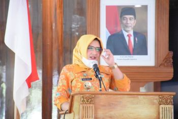 Pemkab Pekalongan dukung penerapan sistem digital di  desa