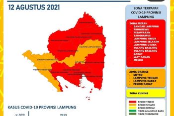 Kasus COVID-19 di Lampung bertambah 372, meninggal 64 orang