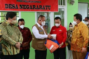 Menko Perekonomian tinjau PPKM di Desa Negara Ratu Lampung