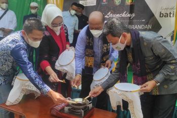 Wakil Bupati Langkat Syah Afandin resmikan Kampung Batik