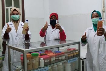 Kelompok binaan JOB Tomori produksi disinfektan-handsanitizer herbal