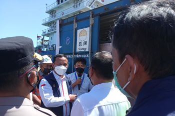 Ekspor hasil pertanian Sulsel bakal melampaui komoditi pertambangan