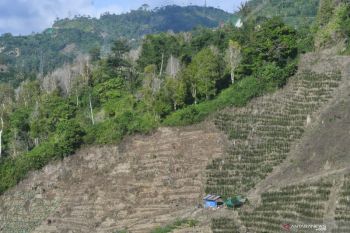 Pendaftaran tanah  di seluruh Indonesia jadi momentum pengakuan masyarakat kawasan hutan