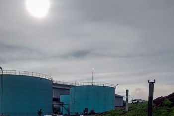 Lima perusahaan sawit di Pasaman Barat belum laporkan ISPO