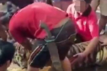 Ini penyebab matinya harimau "viral" di Pasaman