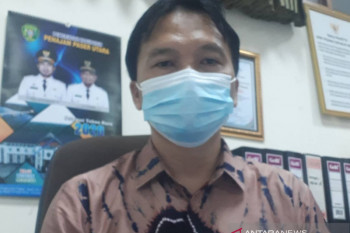 Pemkab PPU arahkan pengembangan sapi potong di Babulu