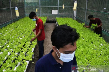 Pemprov Aceh targetkan cetak 200 orang petani milenial