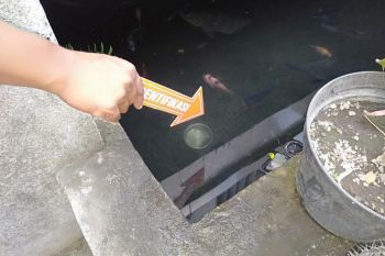 Bermain dekat kolam ikan, bocah dua tahun ditemukan tewas terapung